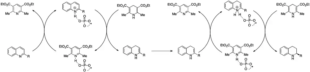 Navržený organokatalytický mechanismus