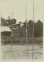 Jump of a Longglat man, leaving the jumping pole behind, Upper Mahakam, Central Borneo, 1898–1900
