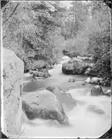 On Boulder Creek, Aquarius, Plateau, Garfield County, Utah.