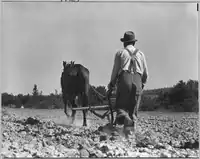 Coosa Valley, Alabama, 1941, archiv NARA