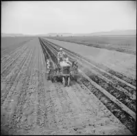 Tule Lake Relocation Center, Newell, Kalifornie