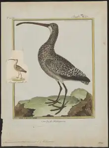 François-Nicolas Martinet (2. polovina 19. století)